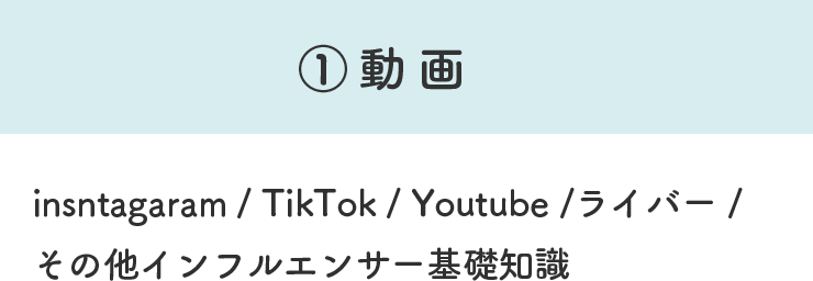 insntagaram / TikTok / Youtube /ライバー / その他インフルエンサー基礎知識